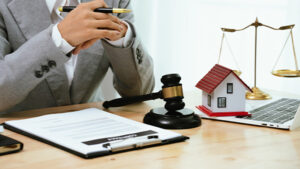 Rational property decisions during crisis - Danube